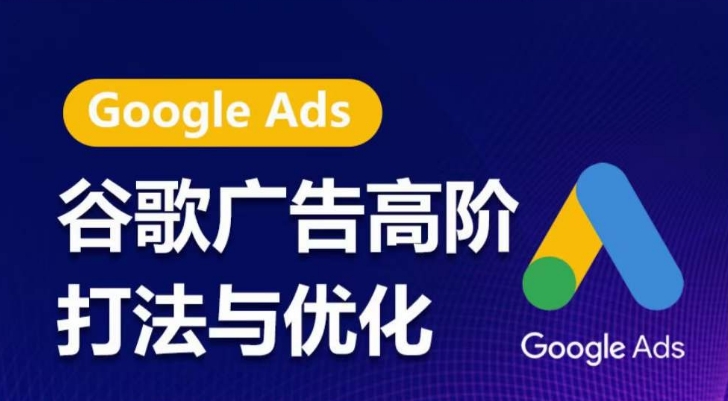 谷歌广告高阶打法与优化，凝结行业精华的谷歌广告体系课程，带你抓住流量红利，最大化ROI-21资源库