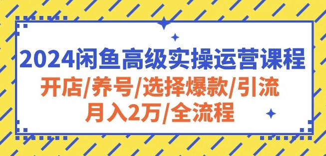 2024闲鱼高级实操运营课程：开店/养号/选择爆款/引流/月入2万/全流程-21资源库