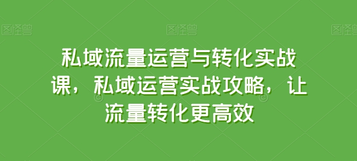 私域流量运营与转化实战课，私域运营实战攻略，让流量转化更高效-21资源库