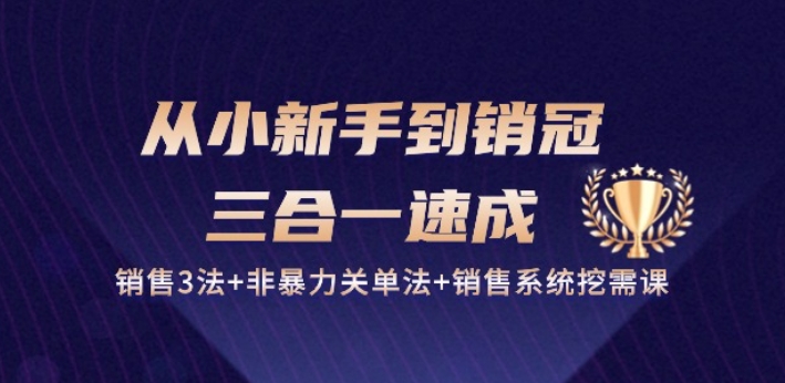 从小新手到销冠 三合一速成：销售3法+非暴力关单法+销售系统挖需课 (27节)-21资源库