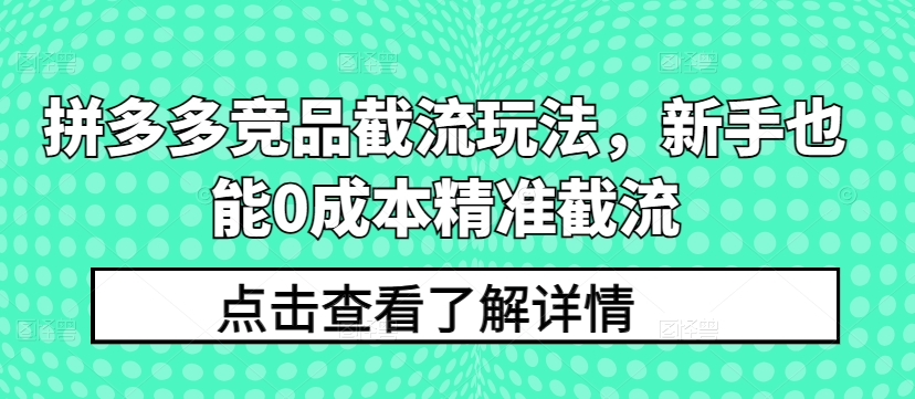 拼多多竞品截流玩法，新手也能0成本精准截流-21资源库