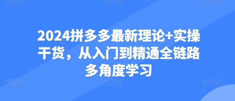 2024拼多多最新理论+实操干货，从入门到精通全链路多角度学习-21资源库