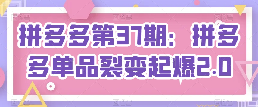 拼多多第37期：拼多多单品裂变起爆2.0-21资源库