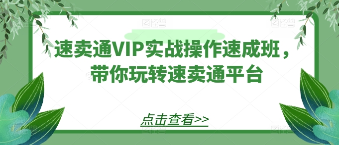 速卖通VIP实战操作速成班，带你玩转速卖通平台-21资源库