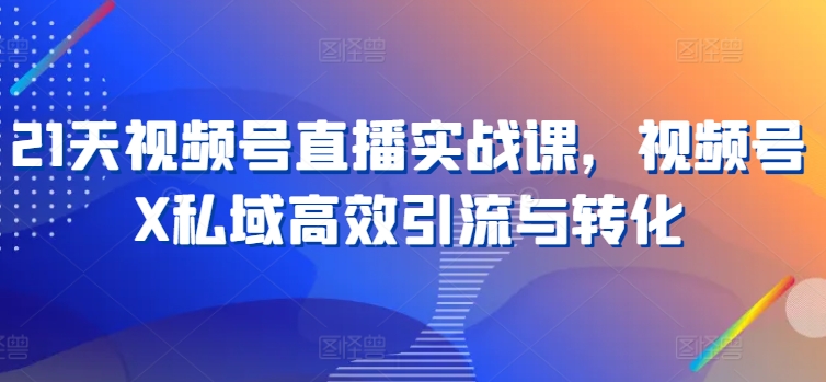 21天视频号直播实战课，视频号X私域高效引流与转化-21资源库