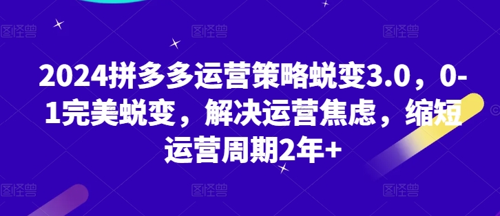 2024拼多多运营策略蜕变3.0，0-1完美蜕变，解决运营焦虑，缩短运营周期2年+-21资源库