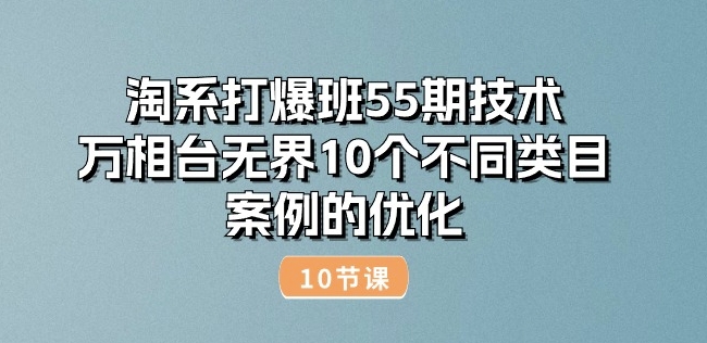 淘系打爆班55期技术：万相台无界10个不同类目案例的优化(10节)-21资源库