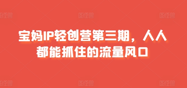 宝妈IP轻创营第三期，人人都能抓住的流量风口-21资源库