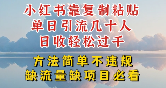 小红书靠复制粘贴单日引流几十人目收轻松过千，方法简单不违规【揭秘】-21资源库