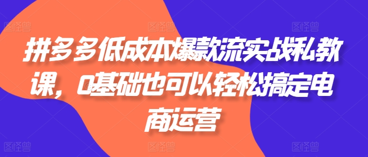 拼多多低成本爆款流实战私教课，0基础也可以轻松搞定电商运营-21资源库