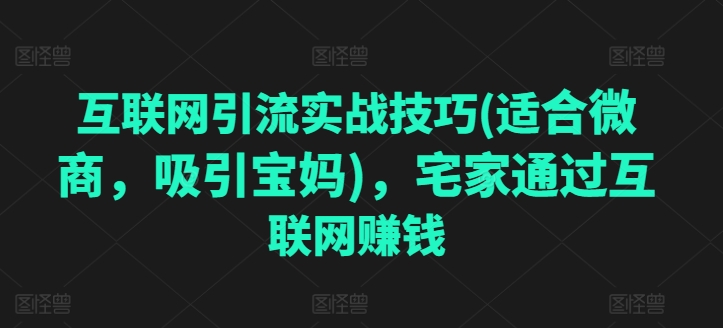 互联网引流实战技巧(适合微商，吸引宝妈)，宅家通过互联网赚钱-21资源库