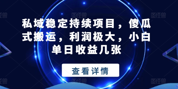 私域稳定持续项目，傻瓜式搬运，利润极大，小白单日收益几张【揭秘】-21资源库