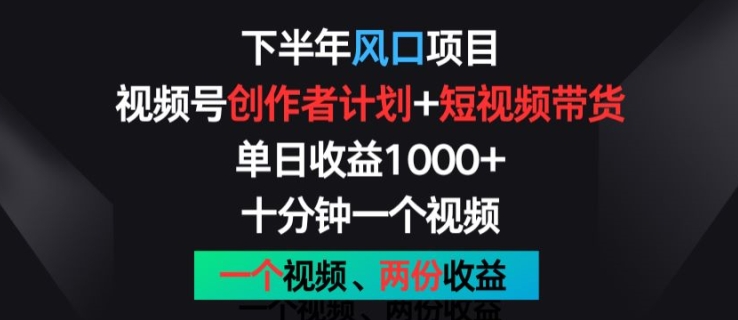 下半年风口项目，视频号创作者计划+视频带货，一个视频两份收益，十分钟一个视频【揭秘】-21资源库