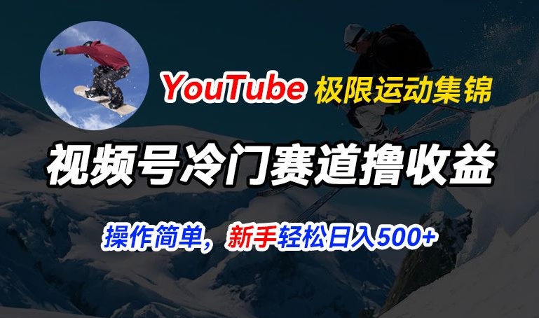 视频号冷门赛道撸收益，YouTube搬运极限运动集锦，暴力起号，操作简单流量高，轻松日入5张【揭秘】-21资源库