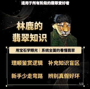 林鹿的翡翠知识，​用宝石眼光，系统全面的看懂翡翠-21资源库