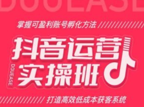 抖音运营实操班，掌握可盈利账号孵化方法，打造高效低成本获客系统-21资源库