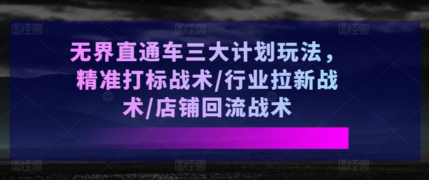 无界直通车三大计划玩法，精准打标战术/行业拉新战术/店铺回流战术-21资源库