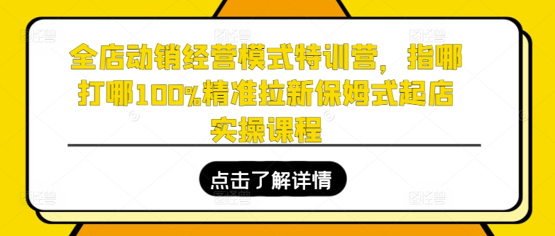 全店动销经营模式特训营，指哪打哪100%精准拉新保姆式起店实操课程-21资源库