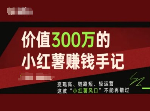 价值300万的小红书赚钱手记，变现高、链路短、轻运营，这波“小红薯风口”不能再错过-21资源库