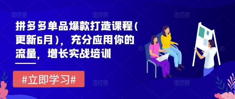 拼多多单品爆款打造课程(更新6月)，充分应用你的流量，增长实战培训-21资源库