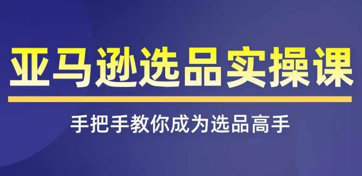 亚马逊选品实操课程，快速掌握亚马逊选品的技巧，覆盖亚马逊选品所有渠道-21资源库