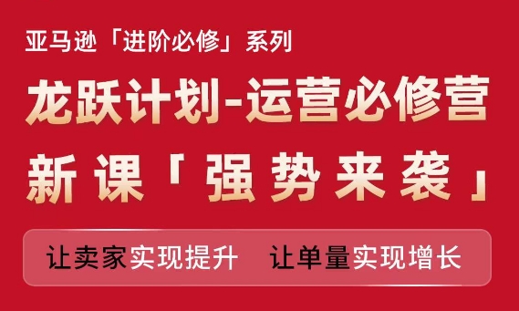 亚马逊进阶必修系列，龙跃计划-运营必修营新课，让卖家实现提升 让单量实现增长-21资源库