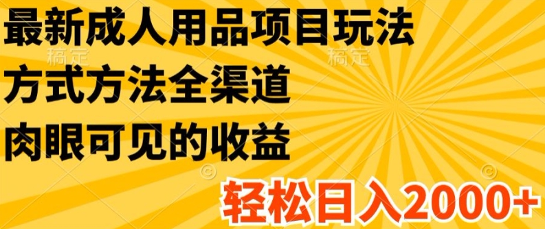 最新成人用品项目玩法，方式方法全渠道，轻松日入2K+【揭秘】-21资源库