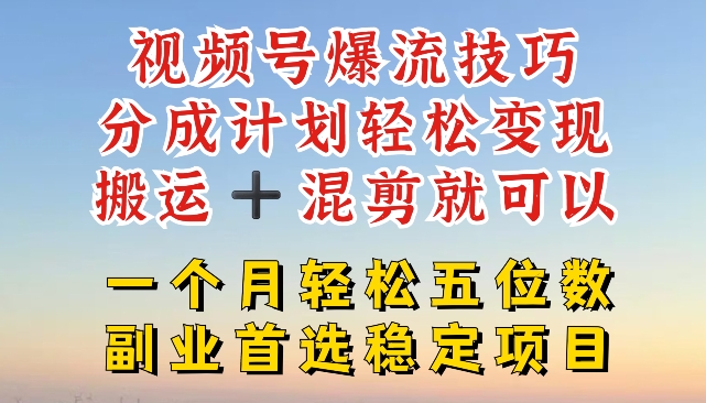 视频号爆流技巧，分成计划轻松变现，搬运 +混剪就可以，一个月轻松五位数稳定项目【揭秘】-21资源库