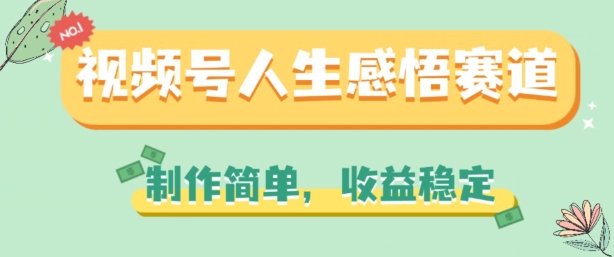 视频号人生感悟赛道，制作简单，收益稳定【揭秘】-21资源库