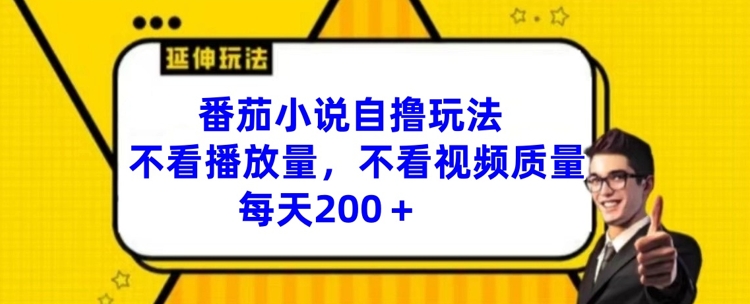 番茄小说自撸玩法，不看播放量，不看视频质量，每天200+【揭秘】-21资源库