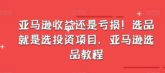 亚马逊收益还是亏损！选品就是选投资项目，亚马逊选品教程-21资源库