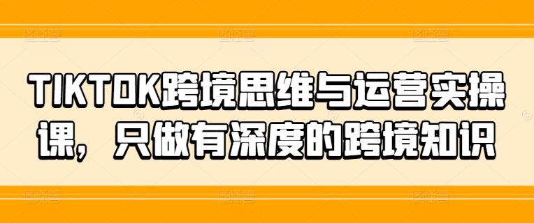 TIKTOK跨境思维与运营实操课，只做有深度的跨境知识-21资源库