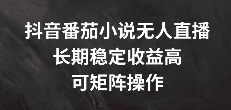 抖音番茄小说无人直播，长期稳定收益高，可矩阵操作【揭秘】-21资源库