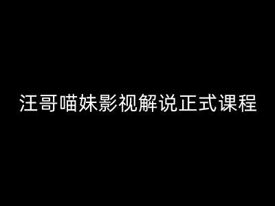 汪哥影视解说正式课程：剪映/PR教学/视解说剪辑5大黄金法则/全流程剪辑7把利器等等-21资源库