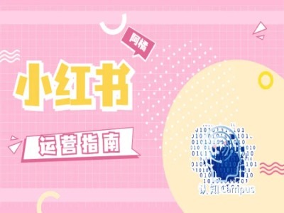 小红书运营指南，没有套路，全是经验-21资源库