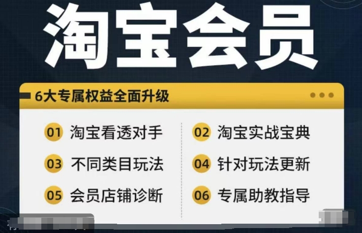 淘宝会员【淘宝所有课程，全面分析对手】，初级到高手全系实战宝典-21资源库