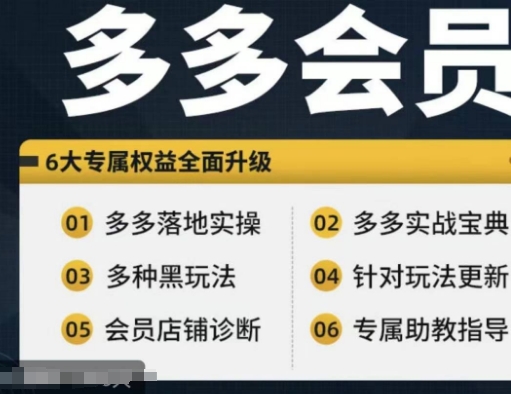 拼多多会员，拼多多实战宝典+实战落地实操，从新手到高阶内容全面覆盖-21资源库