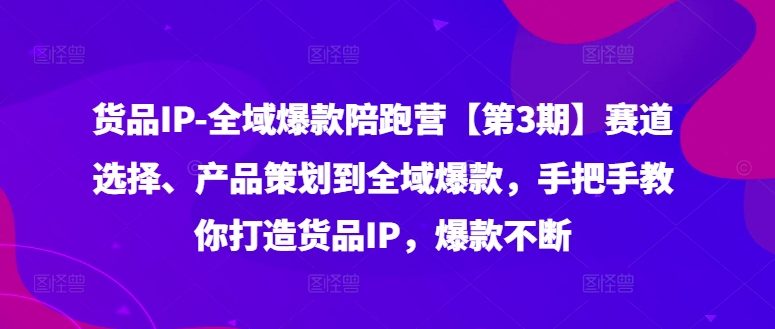 货品IP全域爆款陪跑营【第3期】赛道选择、产品策划到全域爆款，手把手教你打造货品IP，爆款不断-21资源库