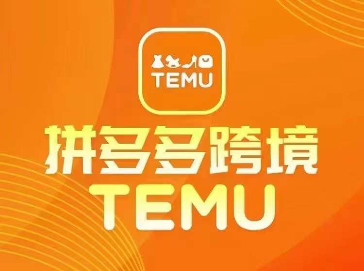 最新TEMU拼多多跨境教程，开店、运营、选品-21资源库