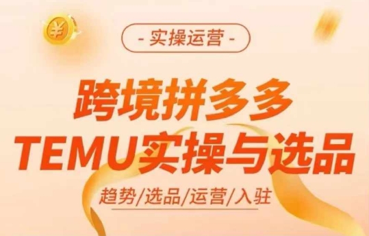 跨境拼多多TEMU实操与选品，多多temu跨境选品运营实操-21资源库