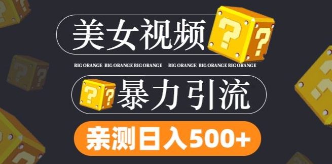 搬运tk美女视频全网分发，日引s粉300+，轻松变现，不限流量不封号【揭秘】-21资源库
