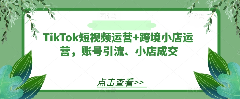 TikTok短视频运营+跨境小店运营，账号引流、小店成交-21资源库