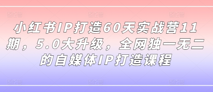 小红书IP打造60天实战营11期，5.0大升级，全网独一无二的自媒体IP打造课程-21资源库