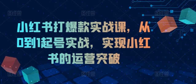 小红书打爆款实战课，从0到1起号实战，实现小红书的运营突破-21资源库