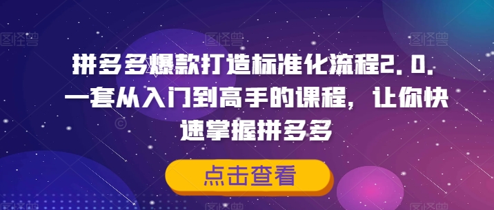 拼多多爆款打造标准化流程2.0，一套从入门到高手的课程，让你快速掌握拼多多-21资源库