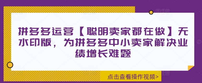 拼多多运营【聪明卖家都在做】无水印版，为拼多多中小卖家解决业绩增长难题-21资源库