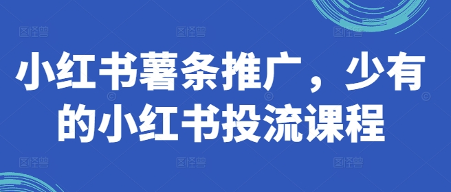 小红书薯条推广，少有的小红书投流课程-21资源库