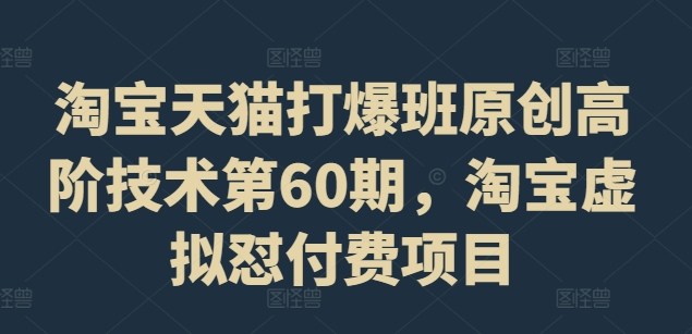 淘宝天猫打爆班原创高阶技术第60期，淘宝虚拟怼付费项目-21资源库