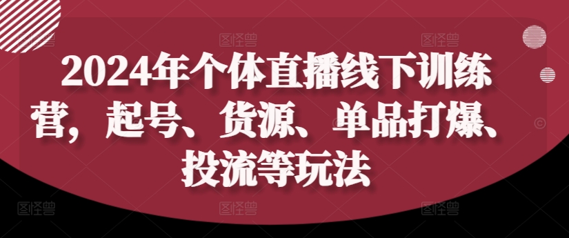 2024年个体直播训练营，起号、货源、单品打爆、投流等玩法-21资源库