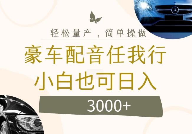不为人知的暴力小项目，豪车配音，日入几张【揭秘】-21资源库